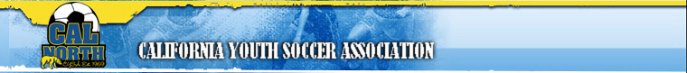 2012 Fall Demo Soccer League banner